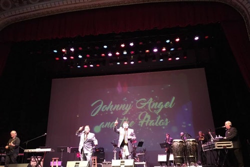 Johnny Angel and The Halos